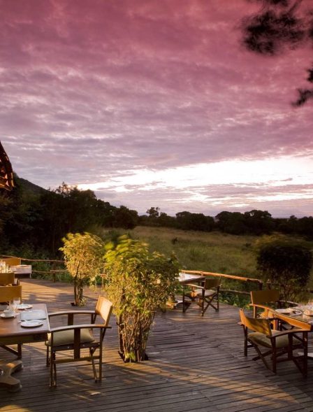 3839 Bateleur 3 Orig