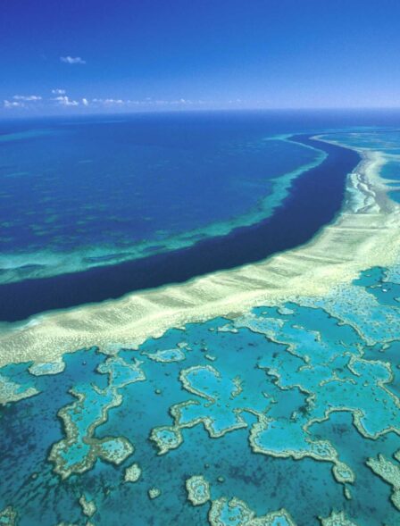 7280_greatbarrierreef_orig-1.jpg