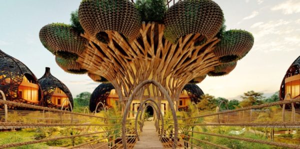 Life Tree Resort 3