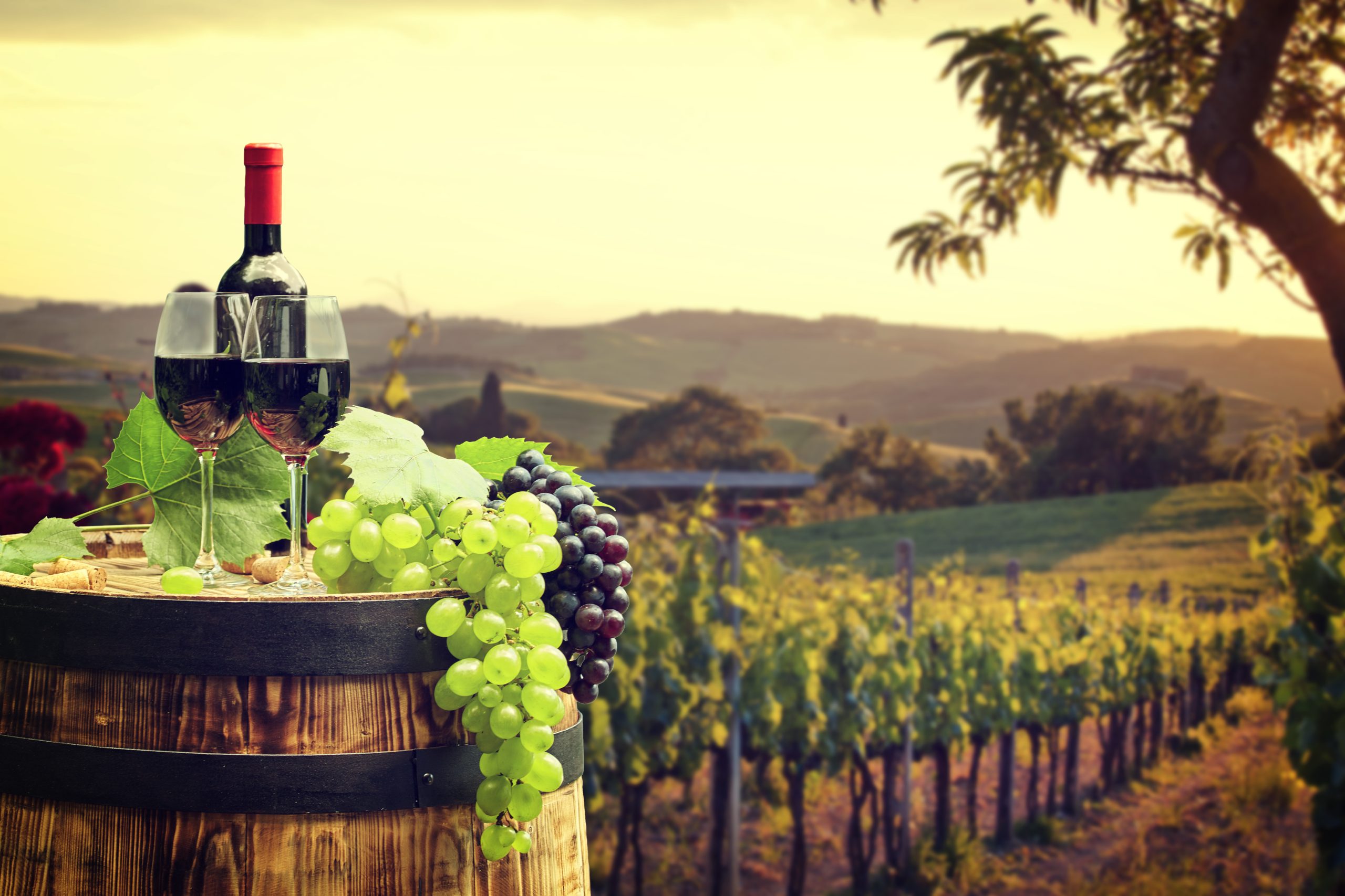 Red,wine,with,barrel,on,vineyard,in,green,tuscany,,italy