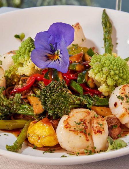 15645003 Imagelargewidth