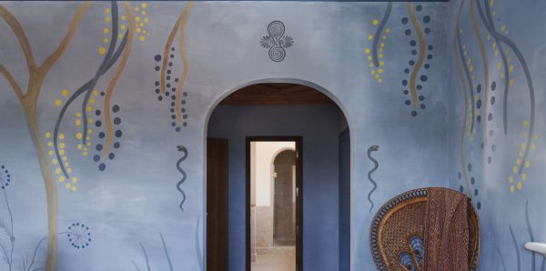 5 Novosti