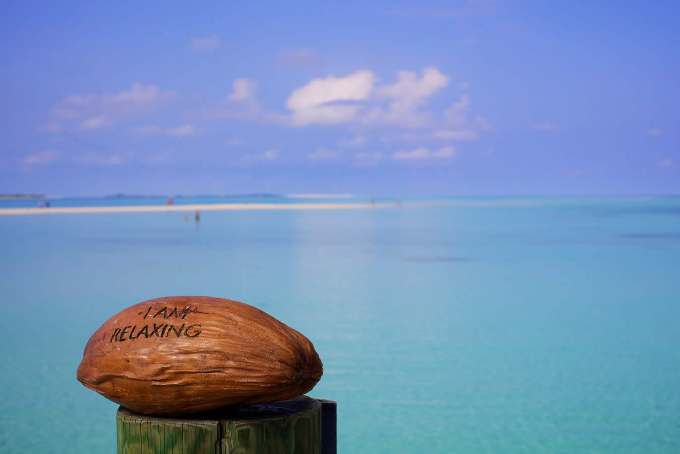 Photographed By Anna Hult