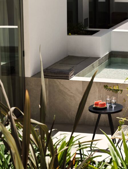 Suite Relax Plunge Pool Gallery 03