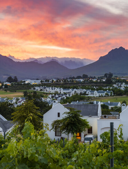 Dezalze 136